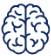 brains